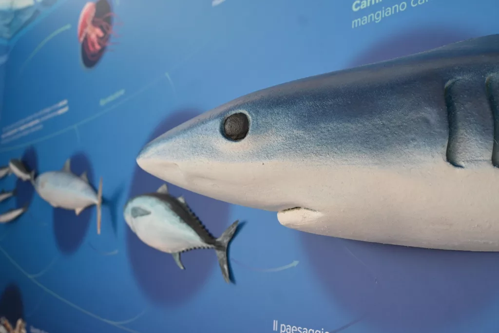 _centro-biodiversita-8