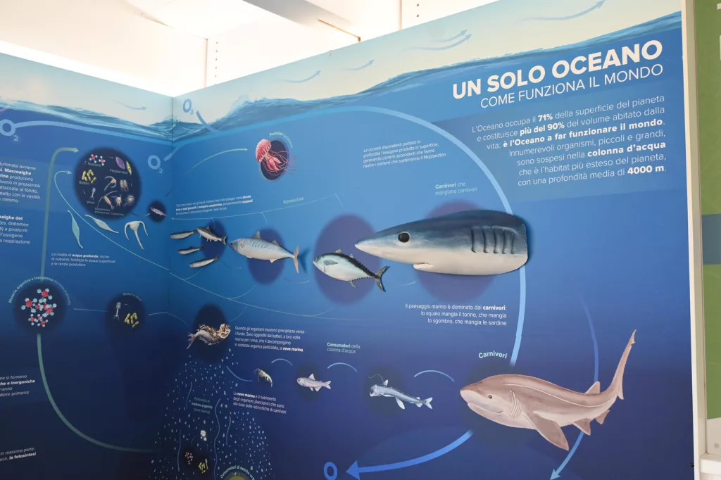 _centro-biodiversita-9