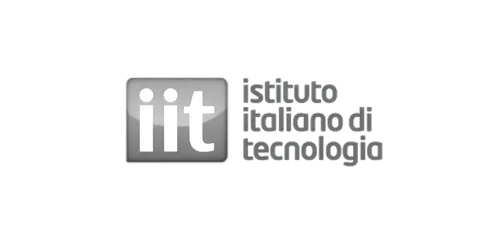 logo iit